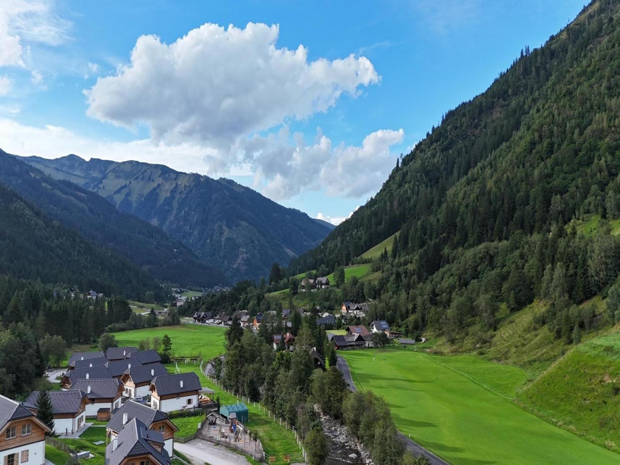 Sperlingnest Villa Donnersbachwald Bagian luar foto