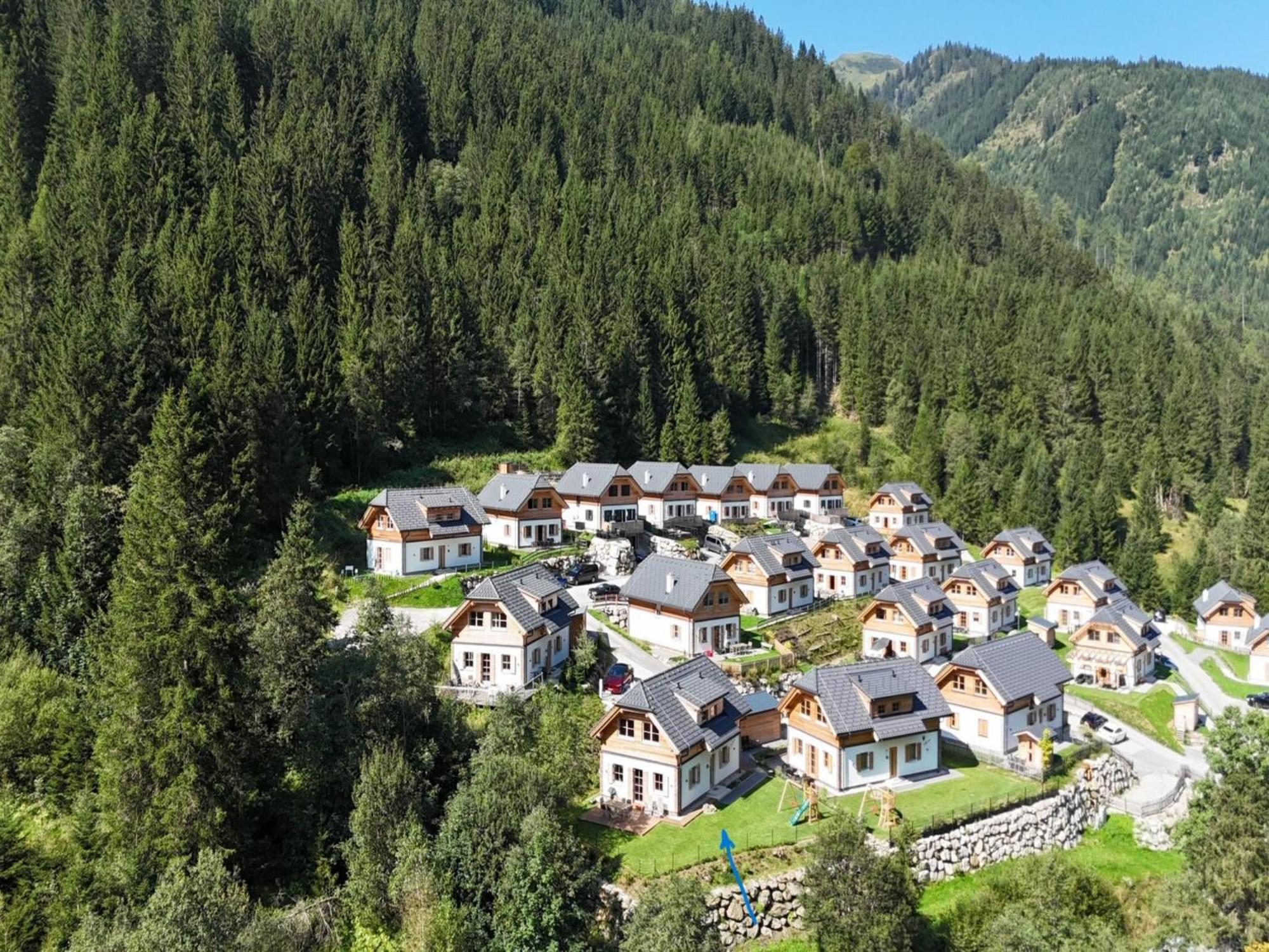 Sperlingnest Villa Donnersbachwald Bagian luar foto
