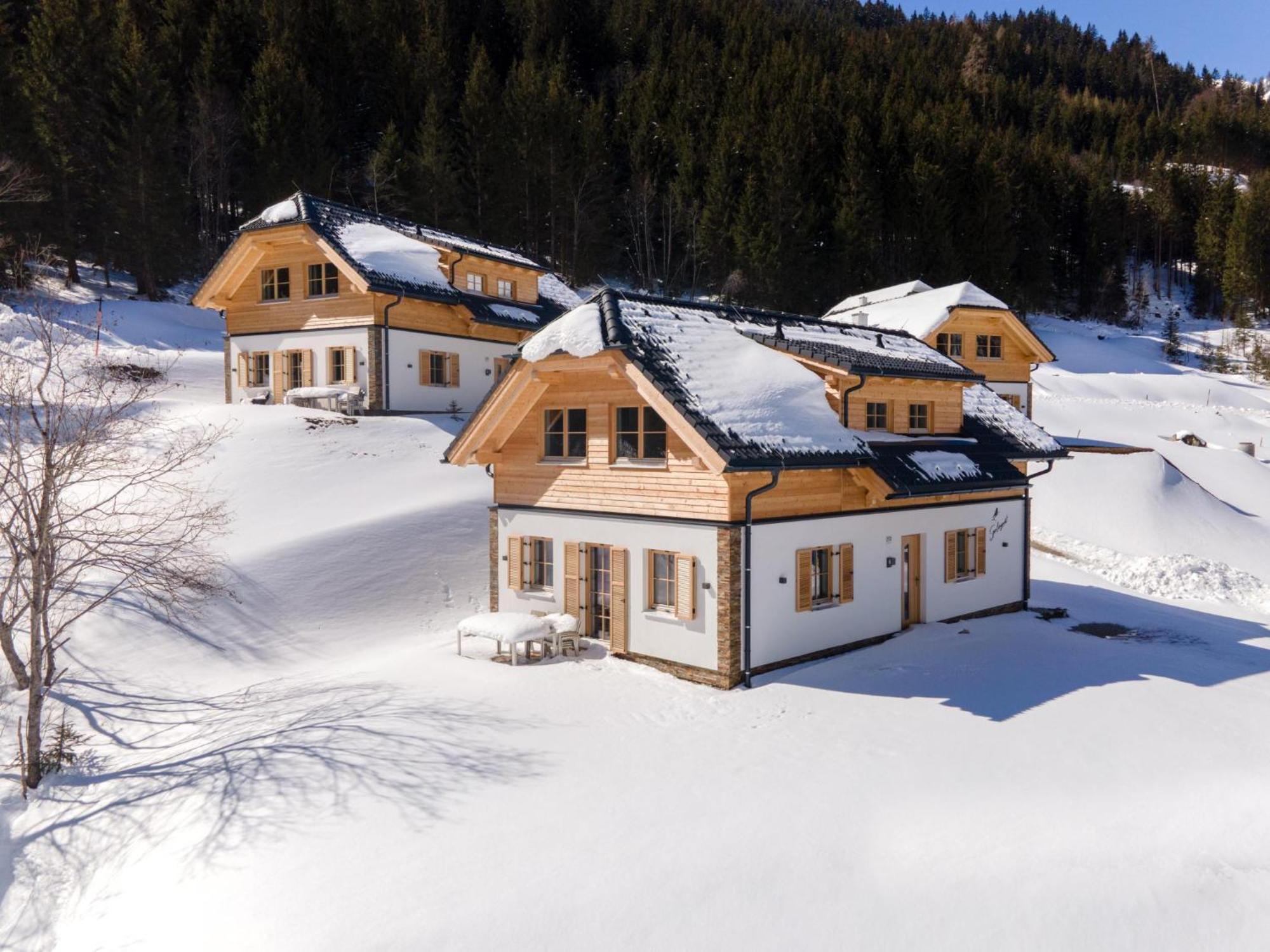 Sperlingnest Villa Donnersbachwald Bagian luar foto